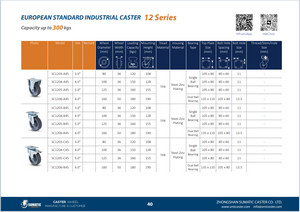Caster Specifications